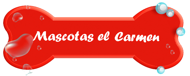 Cartel Central Copias Copia