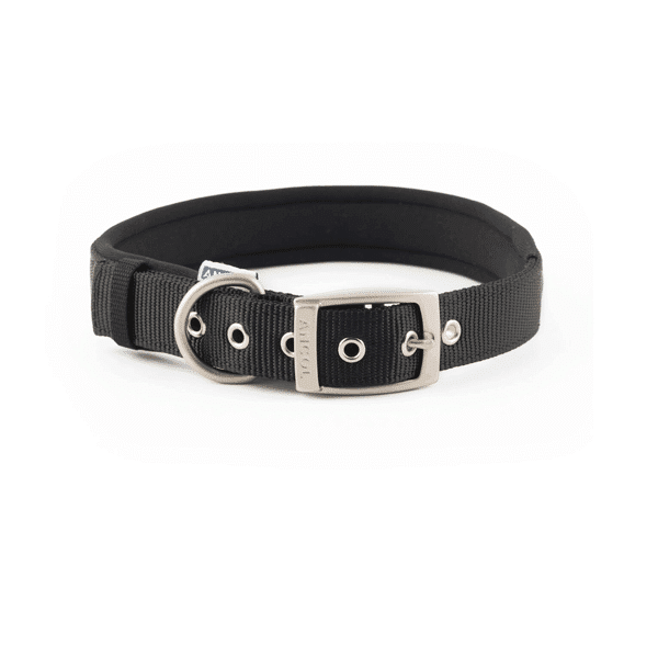 Collar Nylon Acolchado Negro