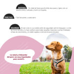 Arnés Bull Regulable Life Style - Imagen 2